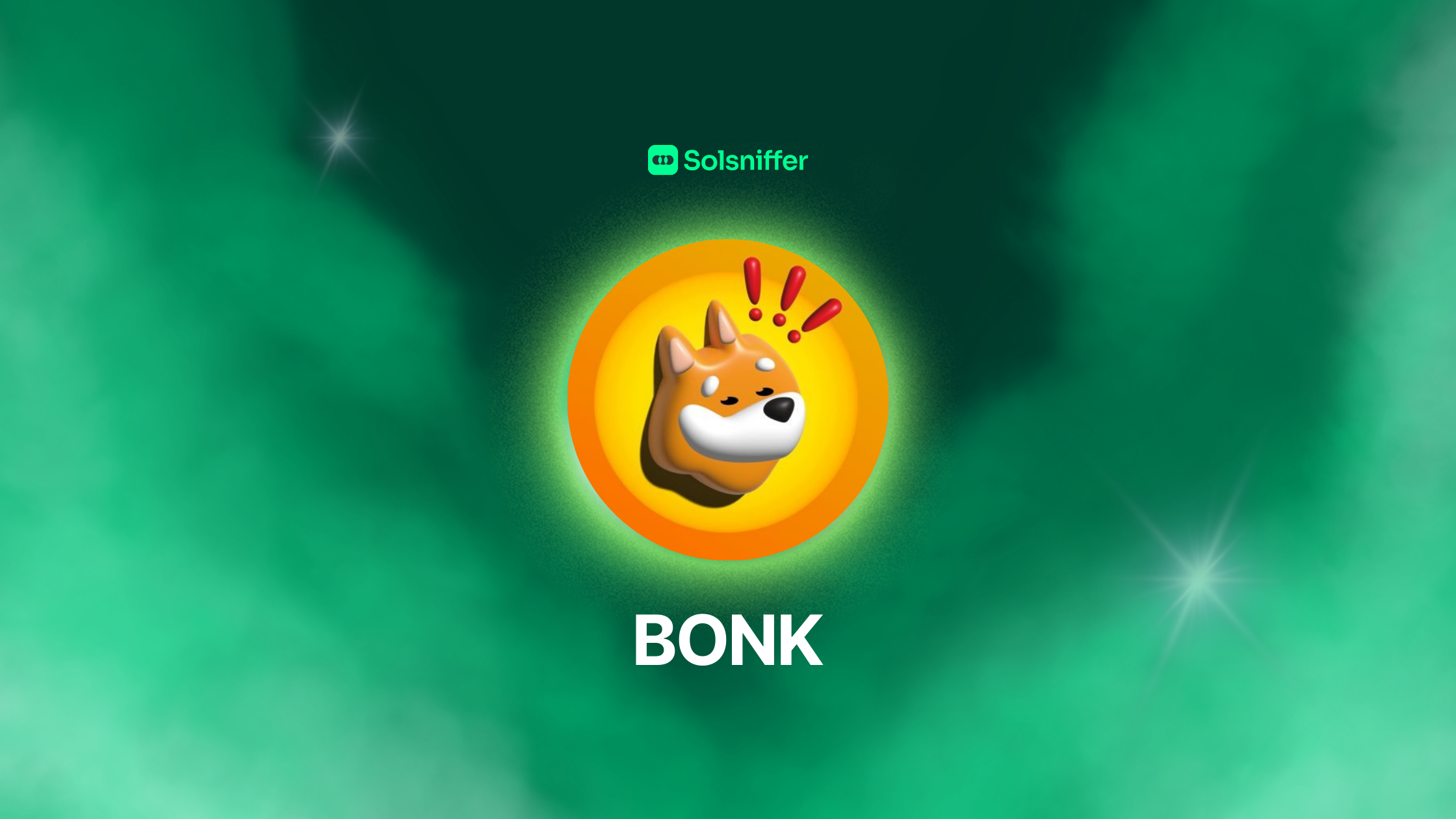 BONK CRYPTO PROJECT